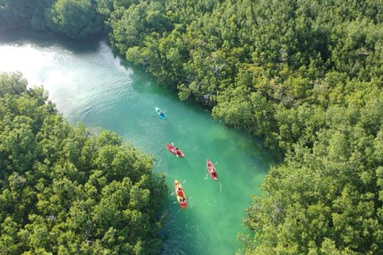 Avventura in kayak attraverso Laguna Nichupté a Cancun