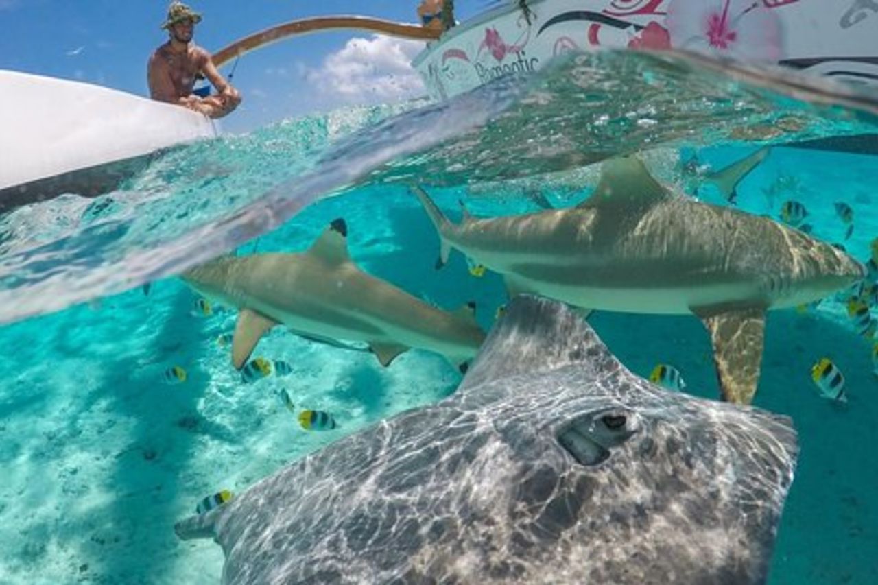 Bora Bora Crociera con snorkeling in canoa Outrigger polinesiana con pranzo sull'isola barbecue