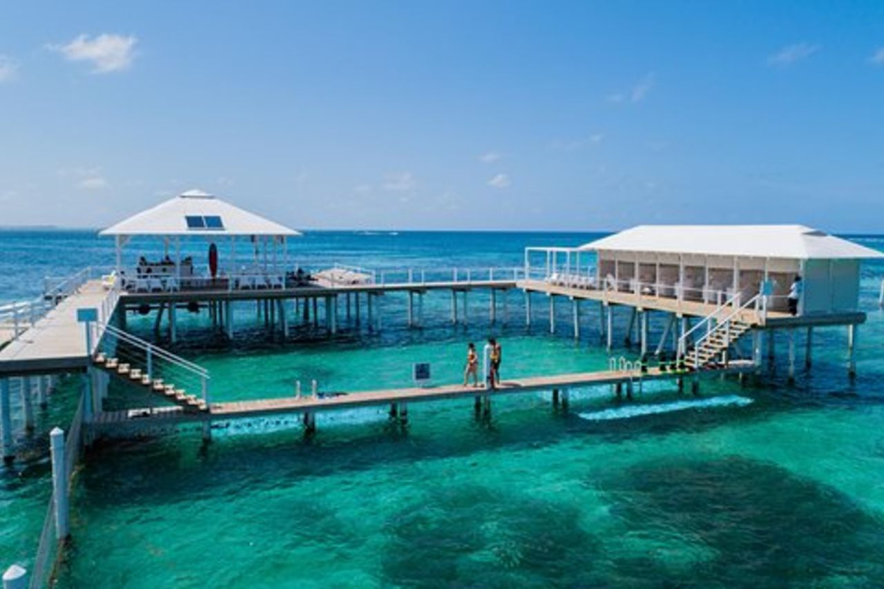 Reef Explorer Escursione multipla da Punta Cana di Marinarium