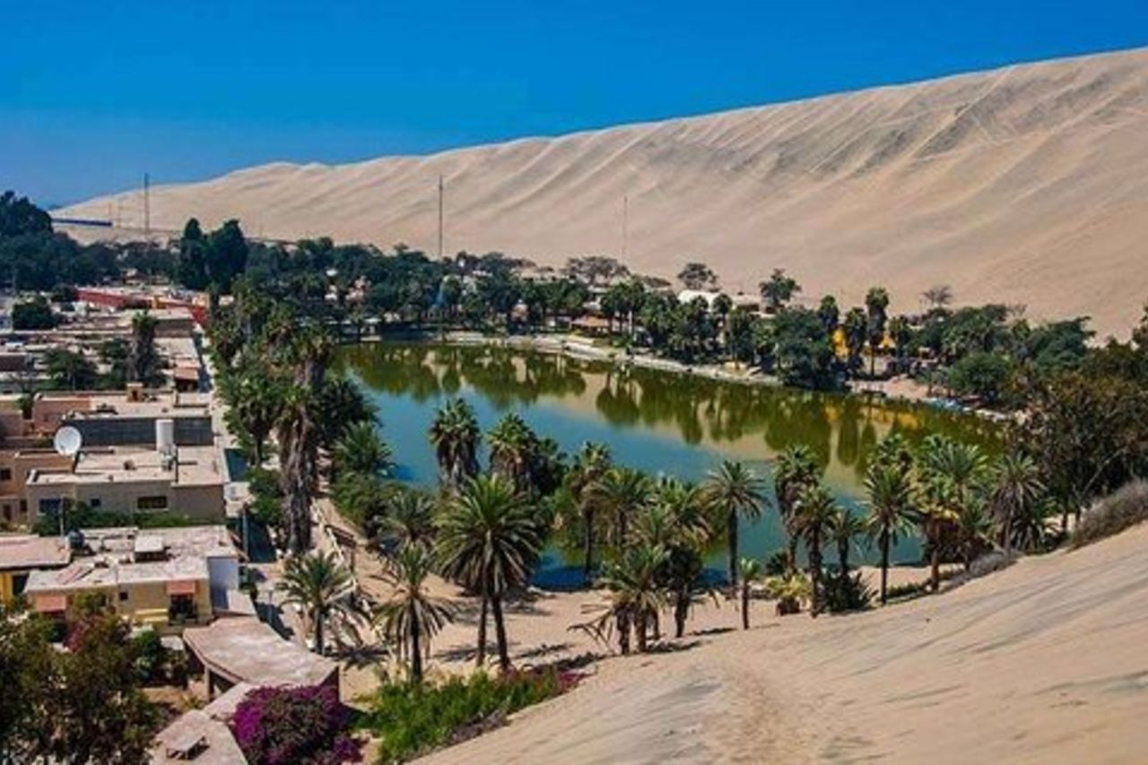 Giornata intera Paracas - Ica - Oasis Huacachina