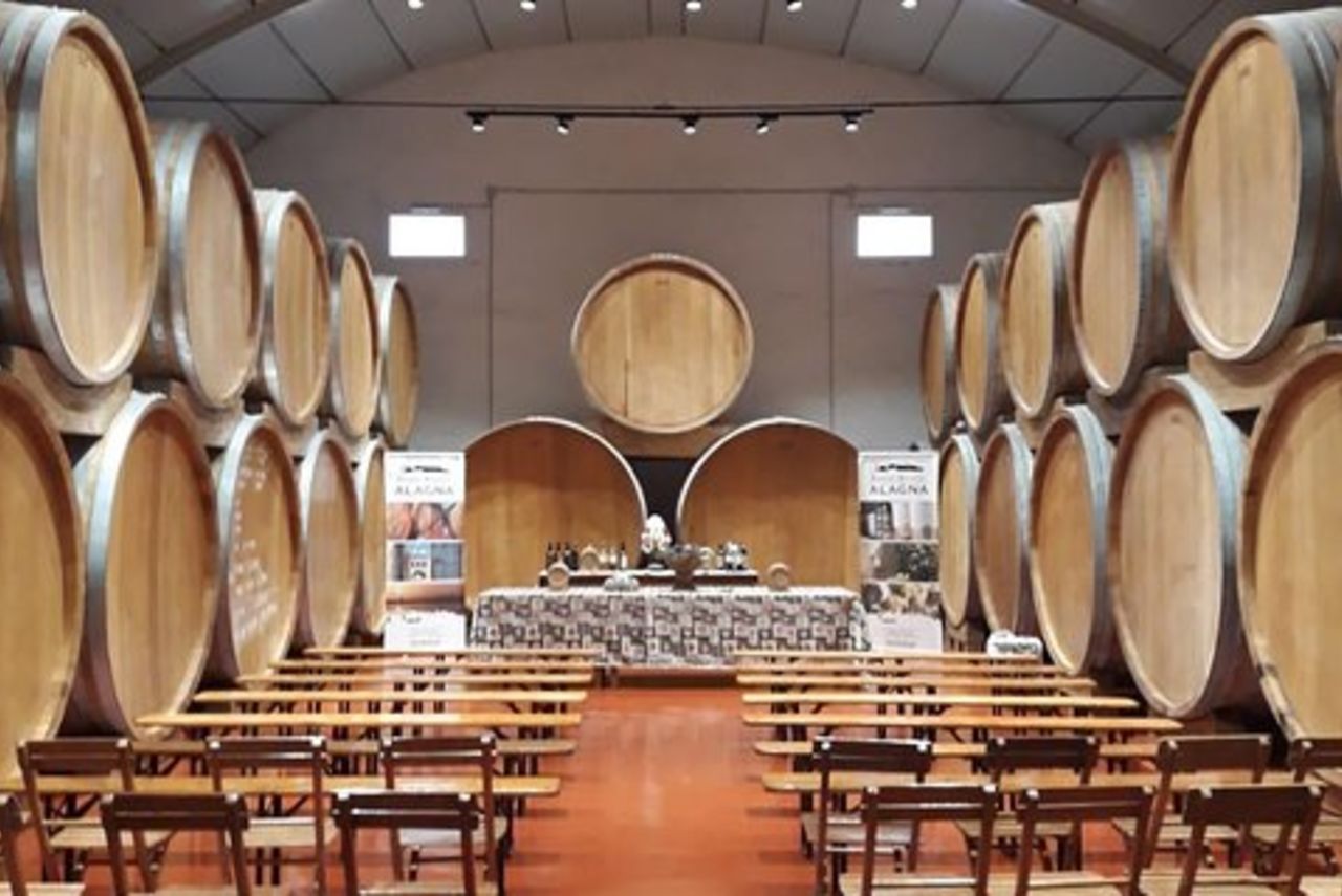 Degustazione in cantina storica di Marsala
