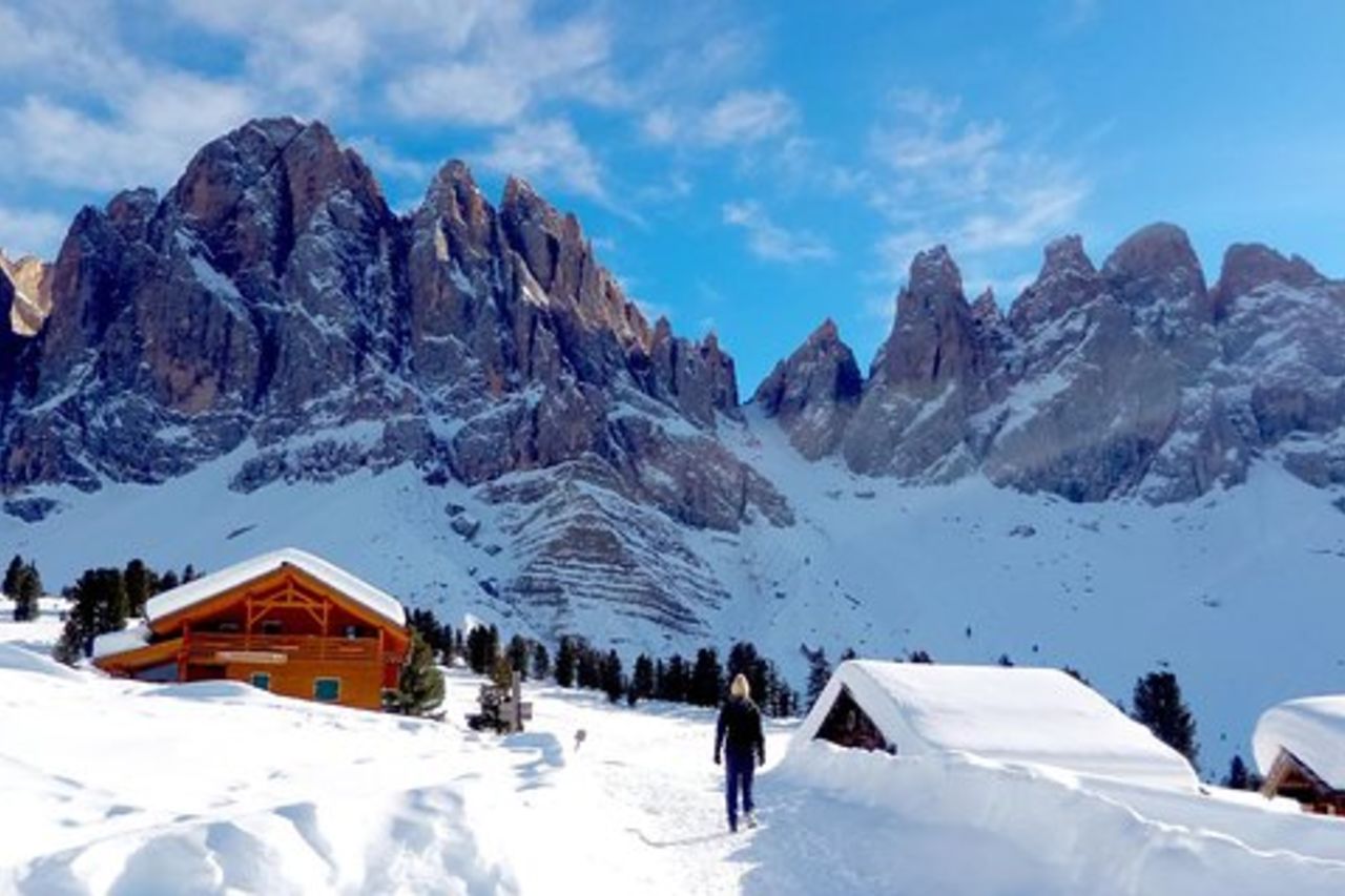 Dolomiti di Bolzano Winter Hiking & Sled Experience