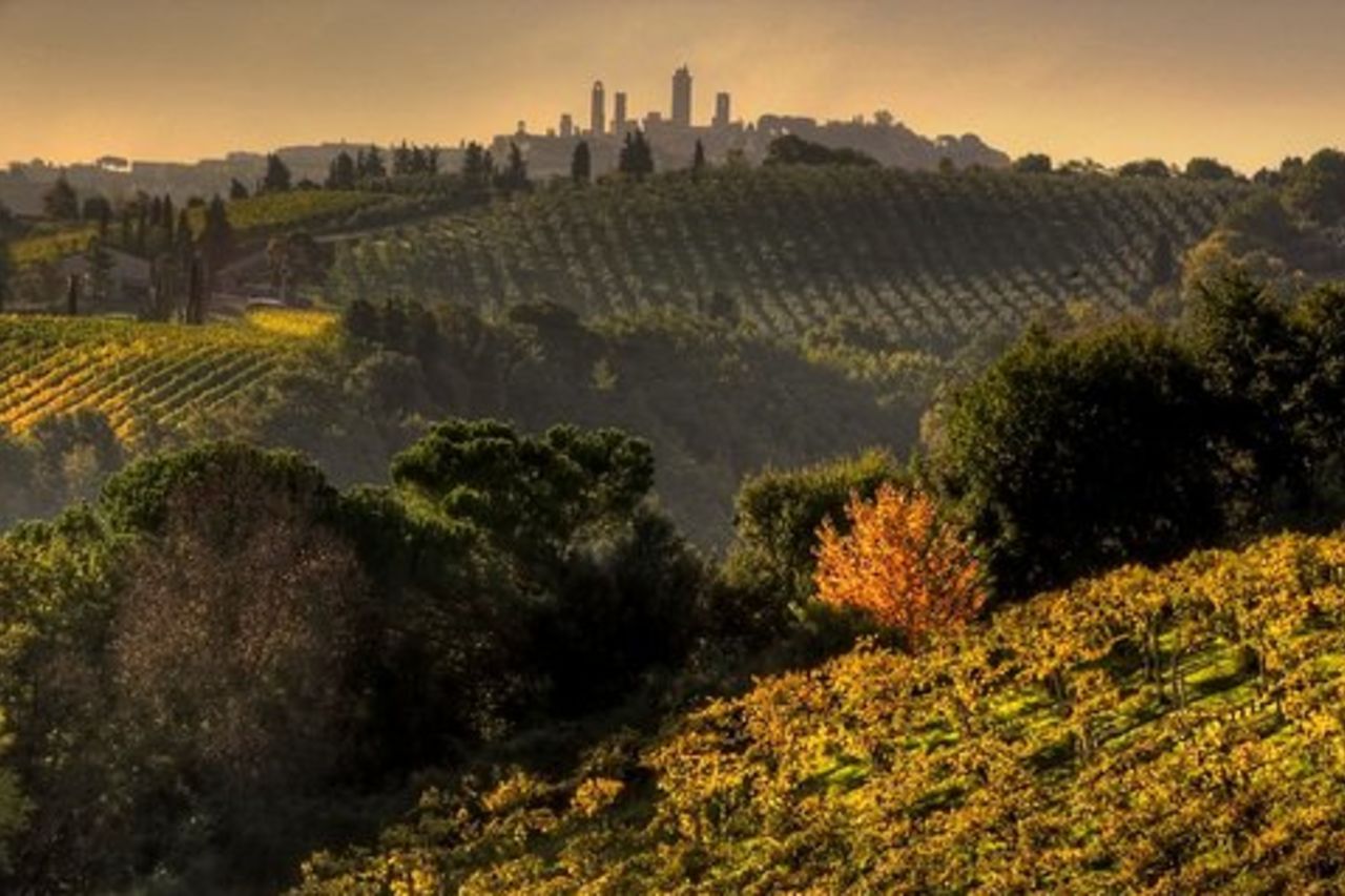 Escursione al tramonto per piccoli gruppi nel Chianti e a San Gimignano da Siena