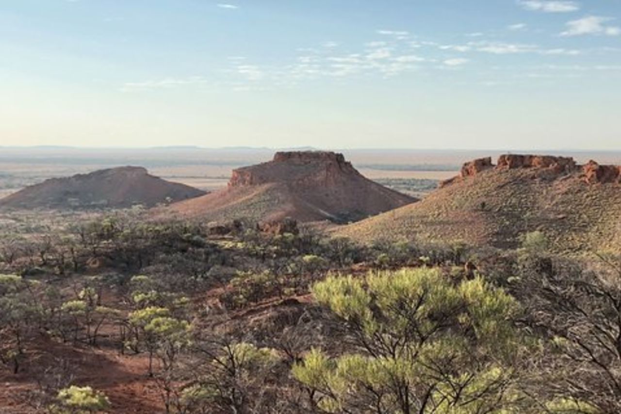 Tour di un giorno di Dinosaur Stampede e Carisbrooke Station da Winton