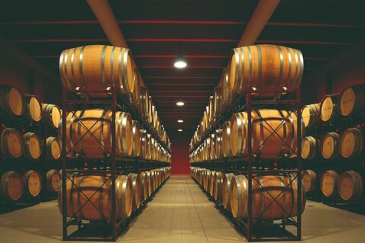 Visita in cantina e degustazione di vini a Montepulciano d'Abruzzo