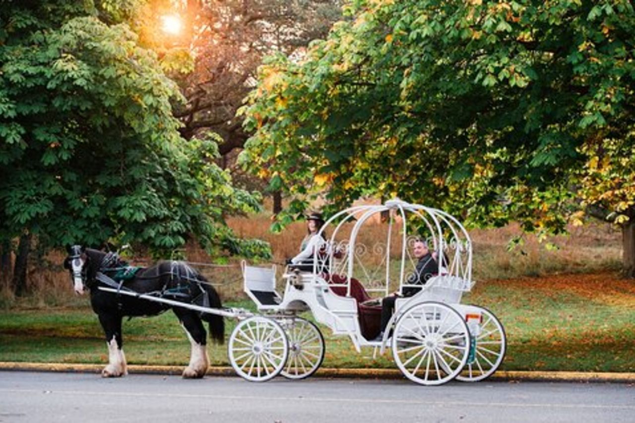 Tour di 45 minuti dal parco