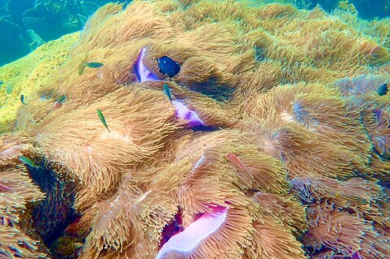 Un tour privato con funivia e gita in barca alle isole An Thoi