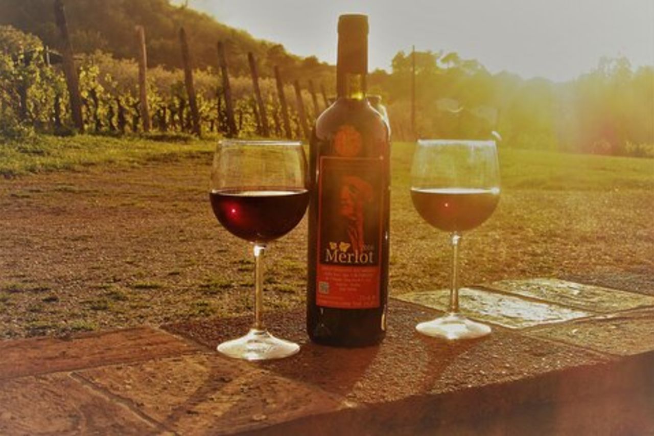 Tour guidato in E-Bike con degustazione di vini lucchesi