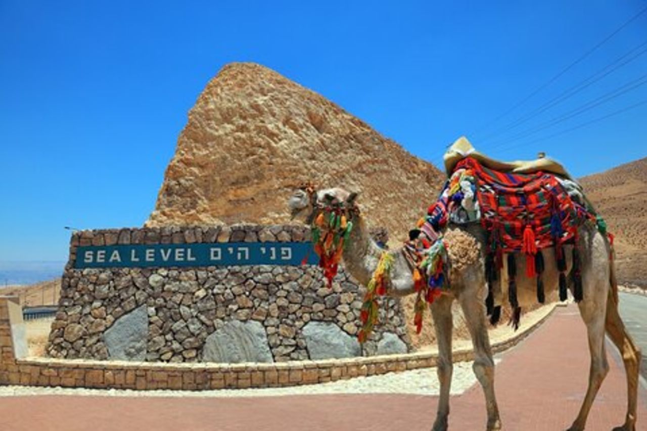 Masada & Mar Morto Piccolo Gruppo - da TLV | Incl. Tariffe & Pickup