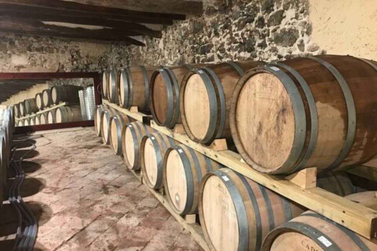 Tour di degustazione di vini Priorat da Salou con ritiro in hotel