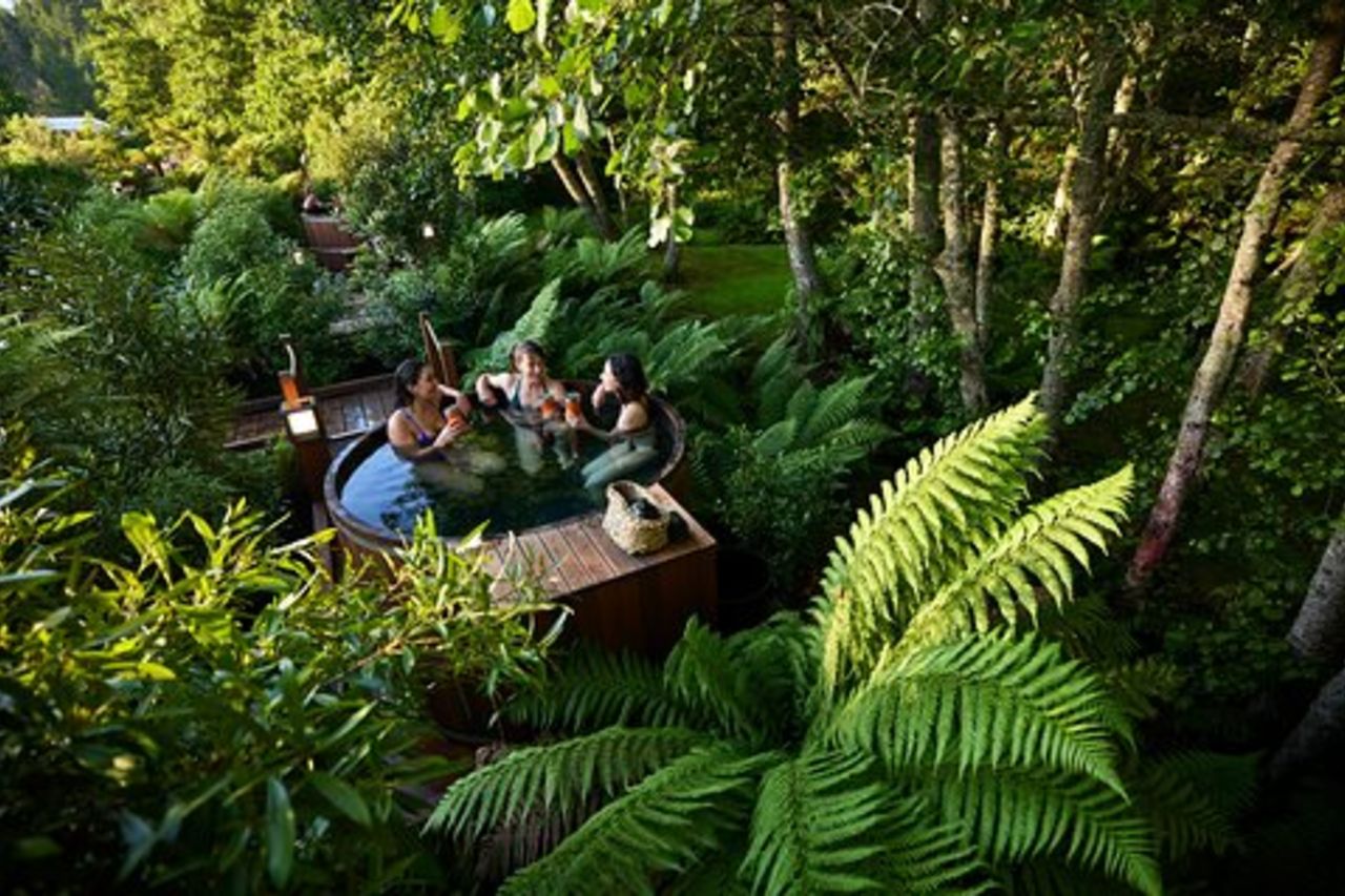 Immergiti nella vasca idromassaggio della foresta di Rotorua al punto segreto
