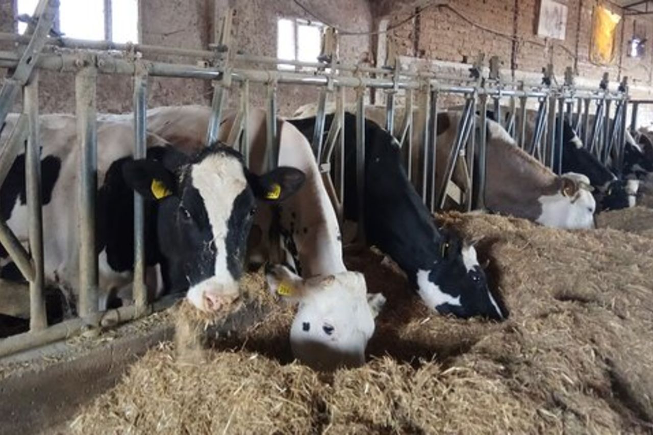 Giro di un'intera giornata che fa un'escursione intorno a Santa Scolastica