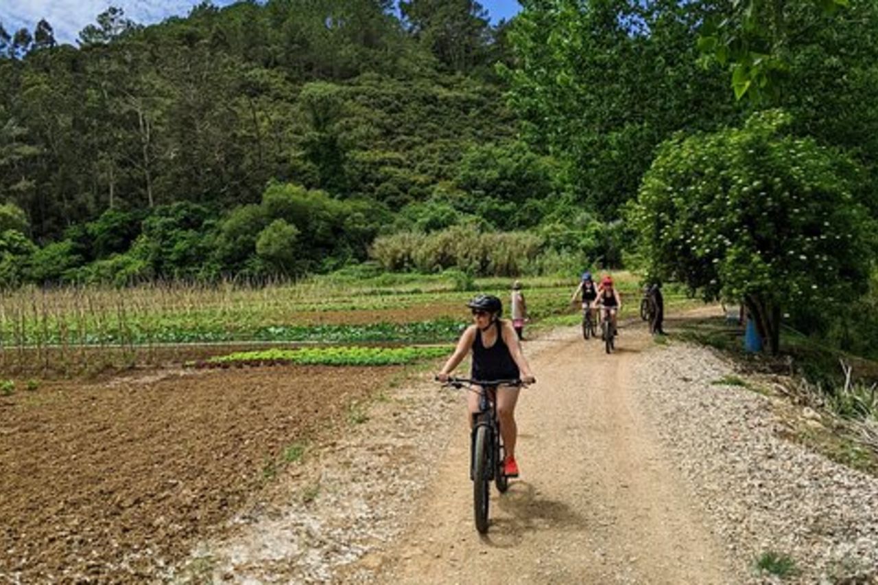 Tour di degustazione di vini