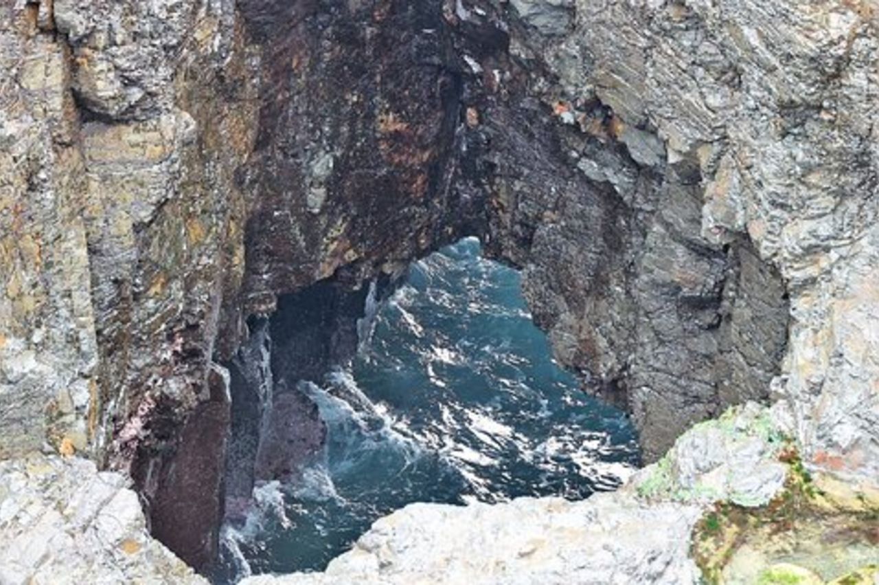 Tour privato di Kiama Blowholes, Sea Cliff Bridge e Wattamolla