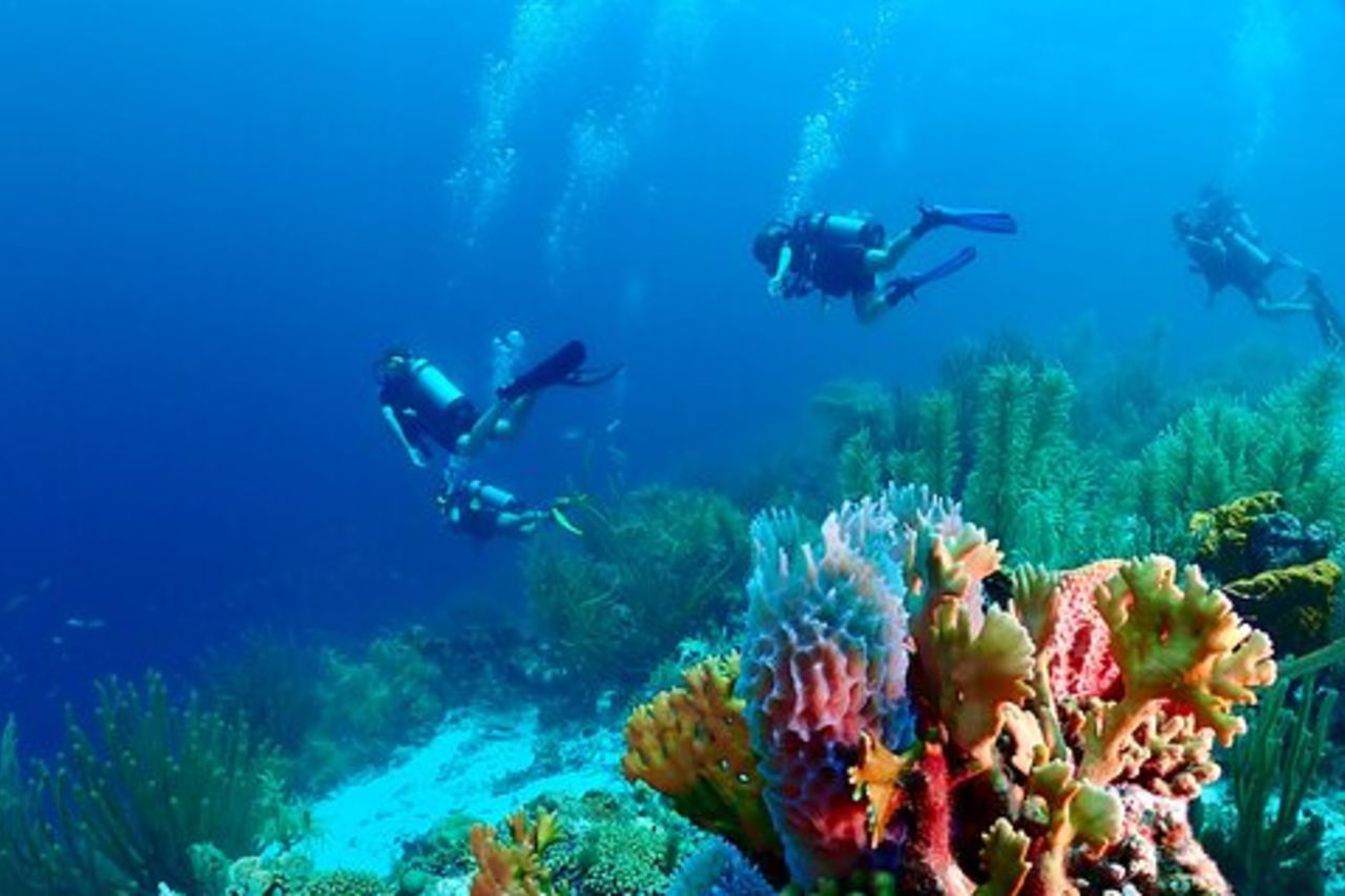 Immersione guidata con 2 bombole mezza giornata