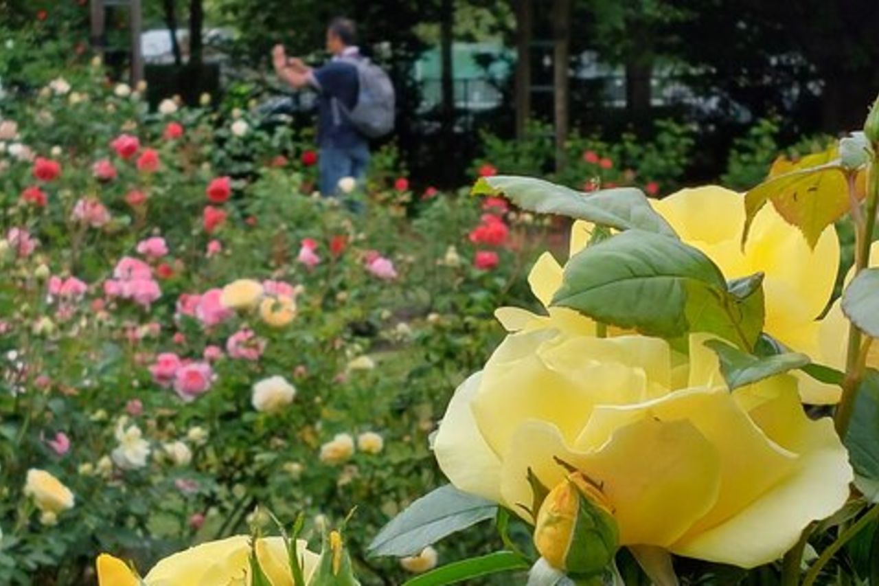 Escursione a Lyttelton Shore: attrazioni della città di Christchurch