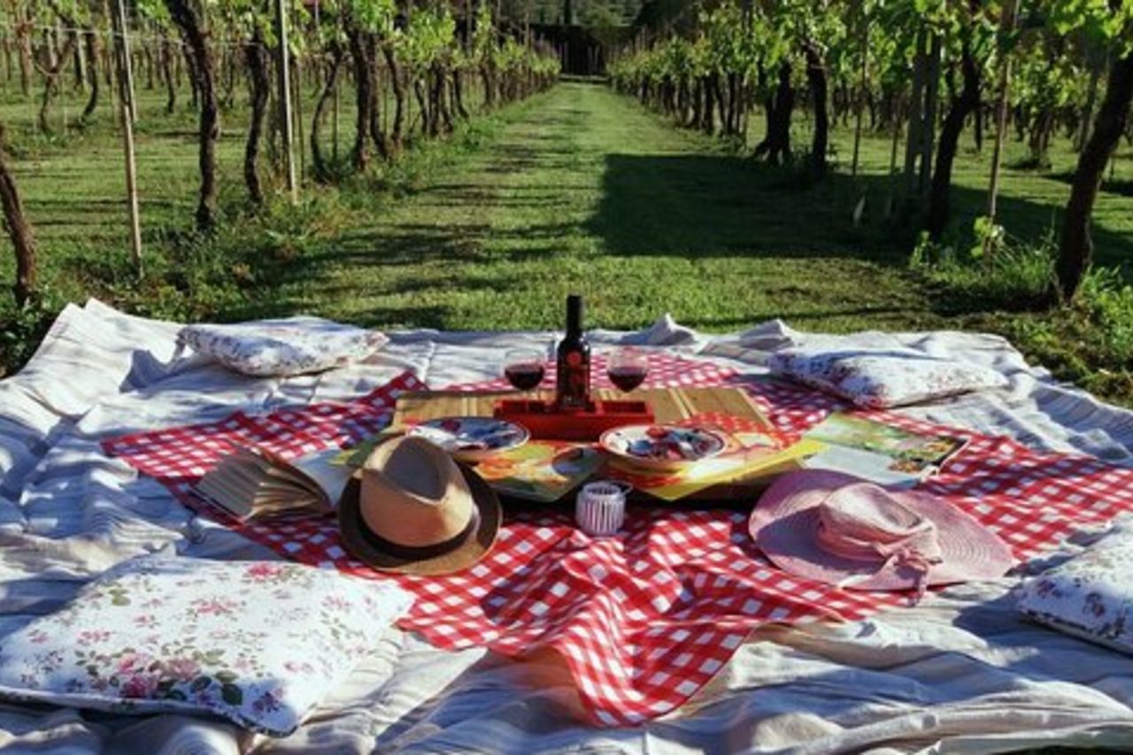 Lucca: self-guided tour + picnic nel vigneto