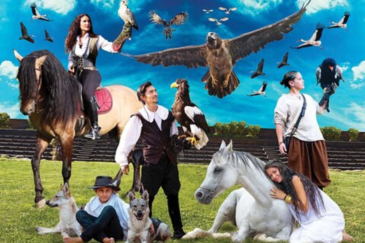 Saltafila: biglietto Falconeria Locarno