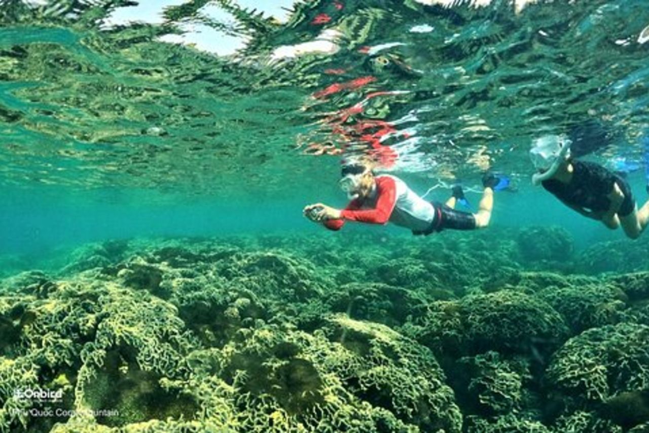 PRO-SNORKELING per esplorare le barriere coralline nascoste (MAX 12 PAX)