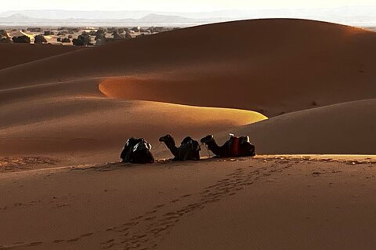 Fes: Miglior Fez a Marrakech via Merzouga Desert Dunes, tour di 3 giorni