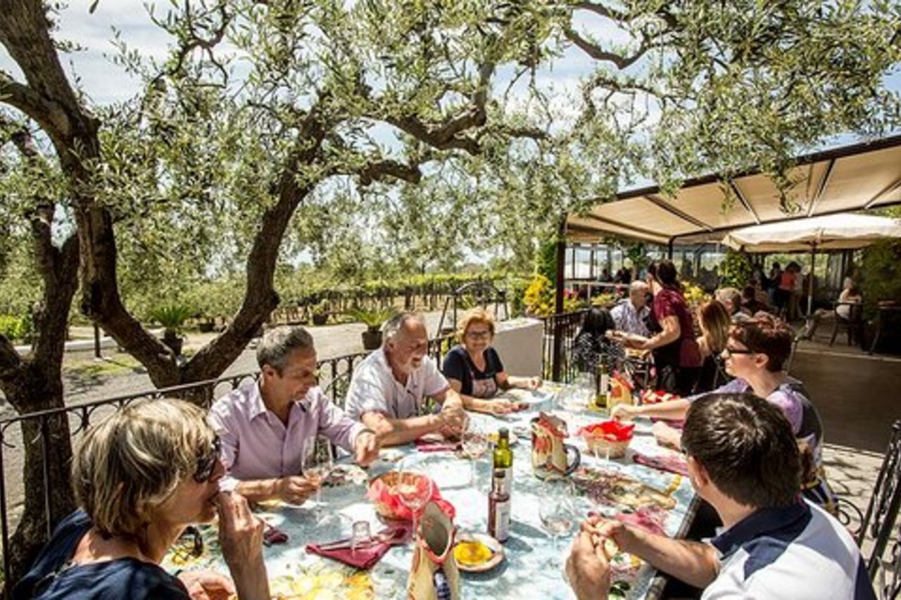 Scenic Wine Tasting & Lunch sulle pendici del Vesuvio da Napoli