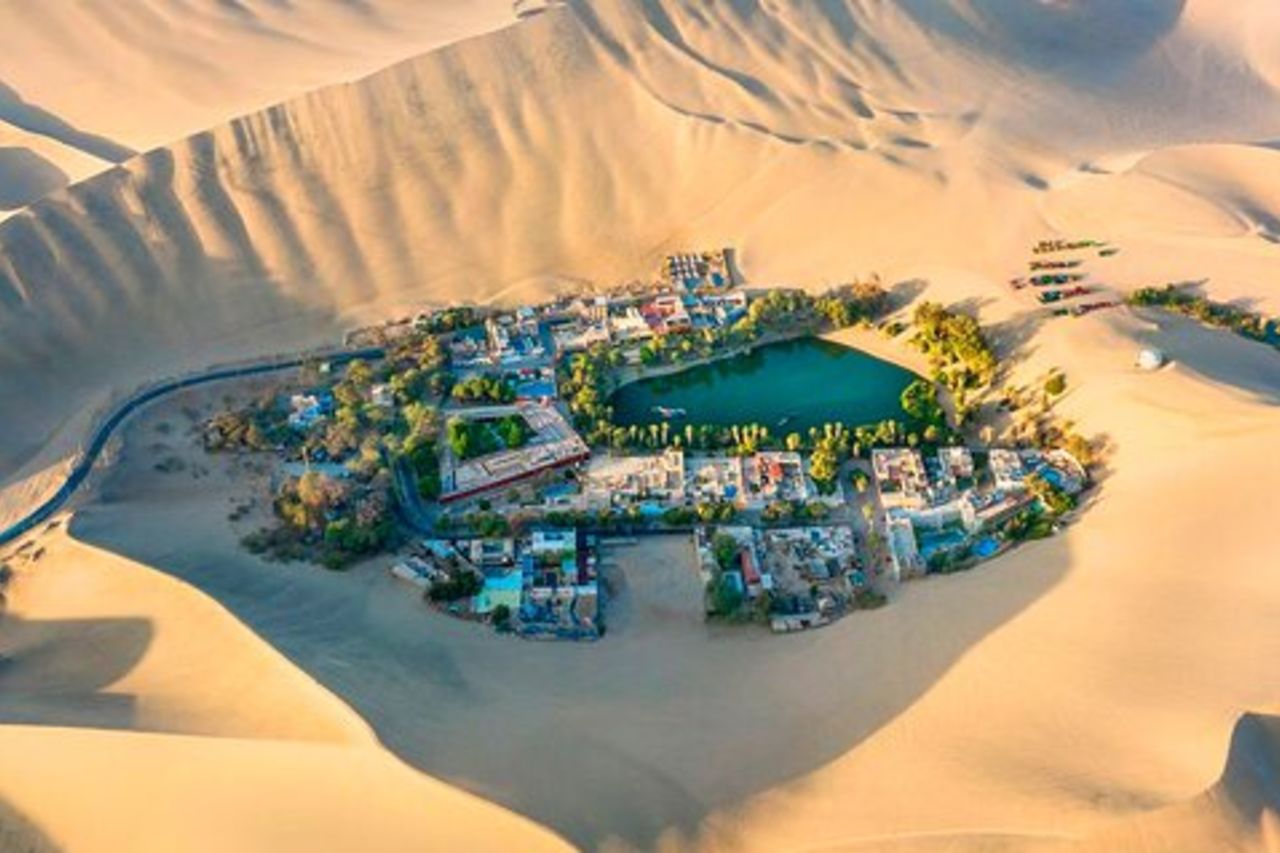 Tour di un'intera giornata da Lima: Paracas e l'oasi di Huacachina
