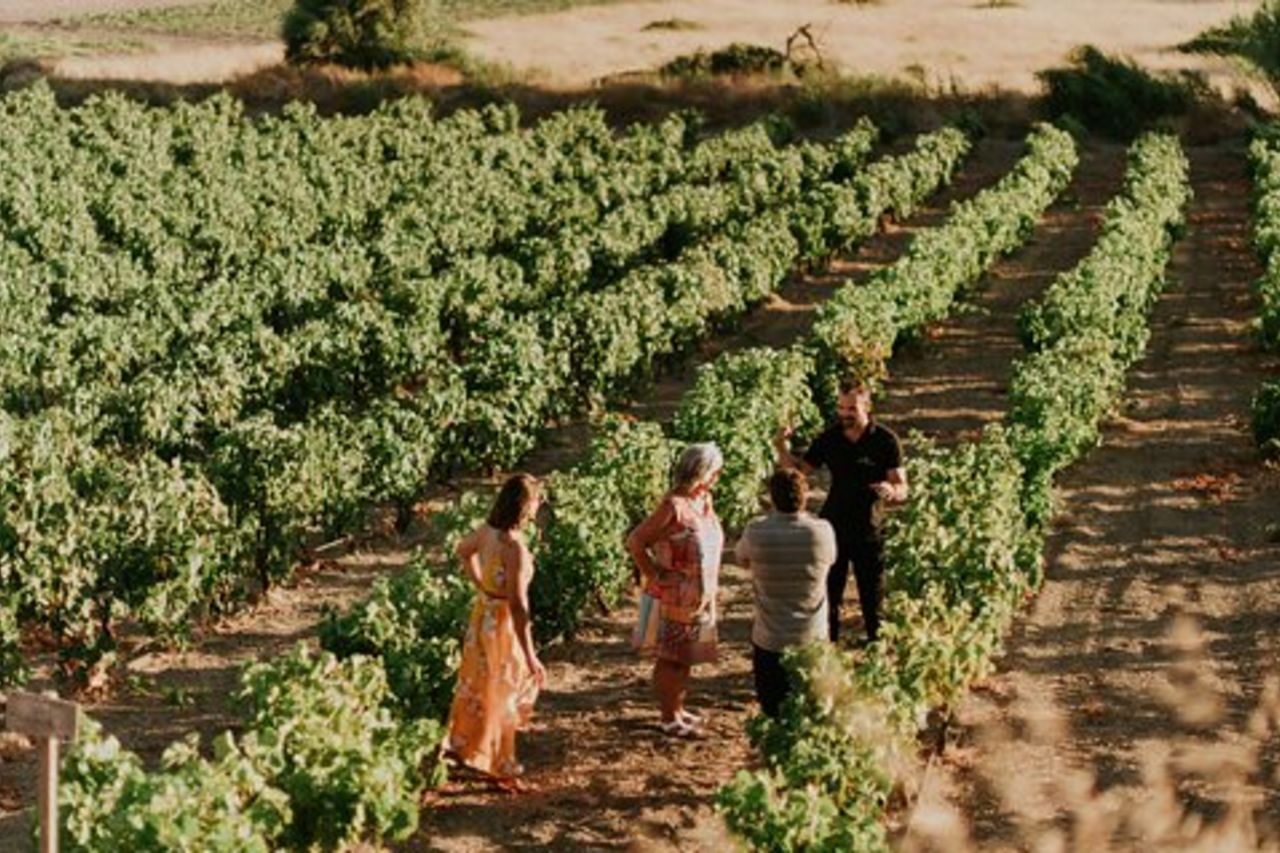 Azienda vinicola Kostantakis - Tour dell'isola di Milos e degustazione di vini