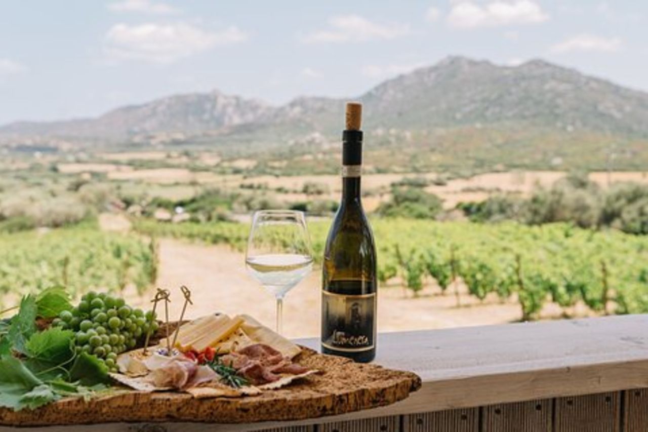 Cantina Gallura con Degustazione Vini a Olbia