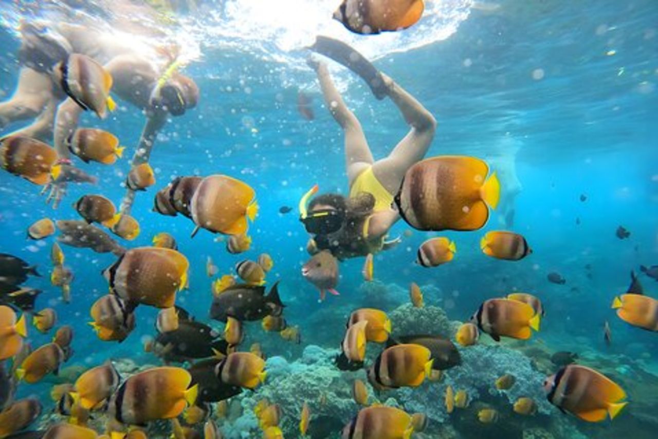 Snorkeling a Nusa Penida con partenza dall'isola di Bali