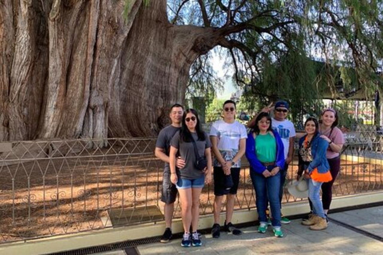 Tule, Mitla e Hierve el Agua Tour di un giorno con Guida certificata