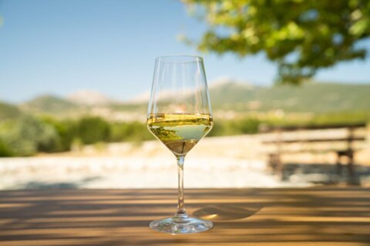 Cefalonia Wine Adventure con 18 Degustazioni in 3 Cantine