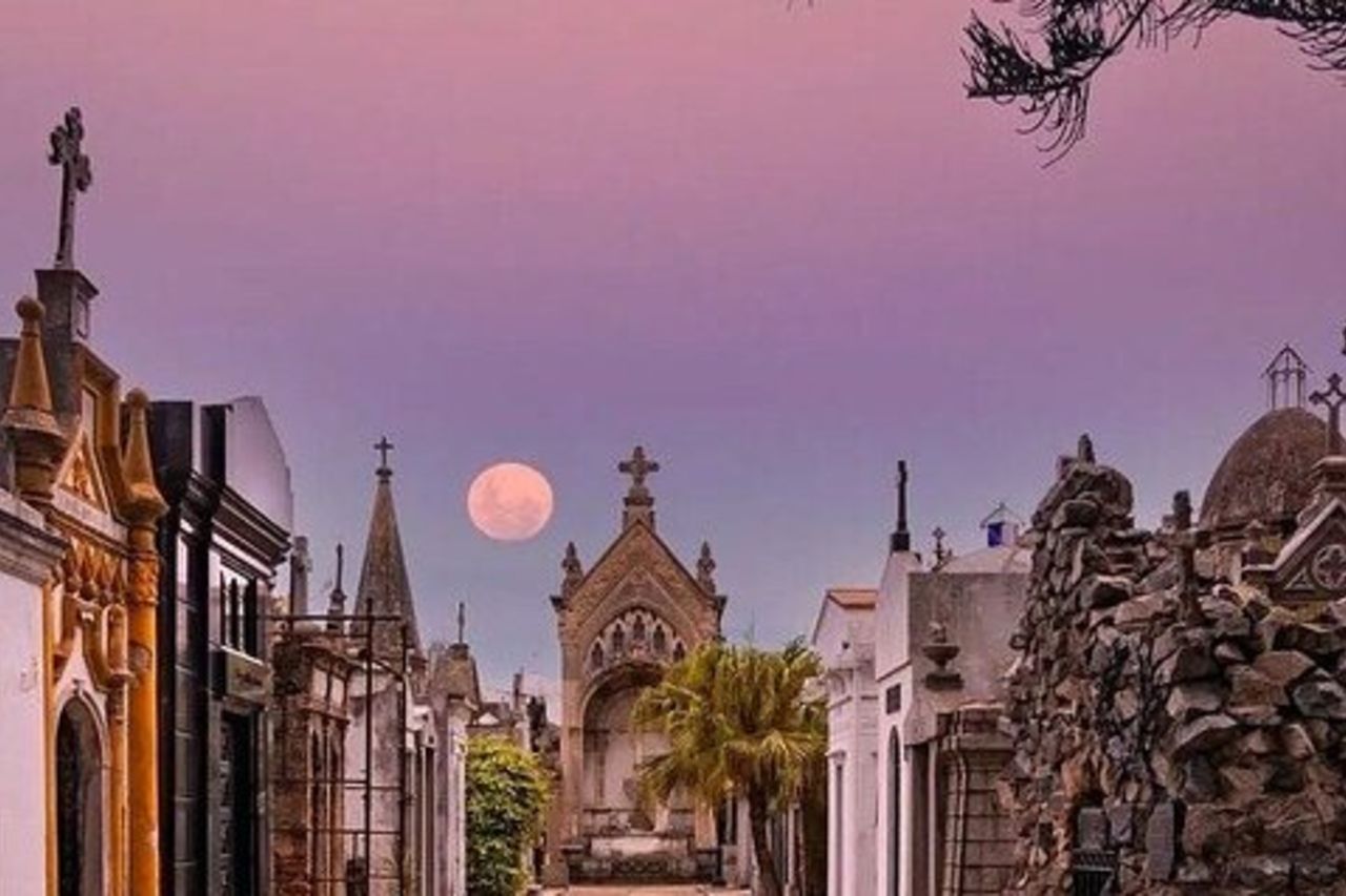 Conoscere Buenos Aires in un tour privato di un'intera giornata con guida