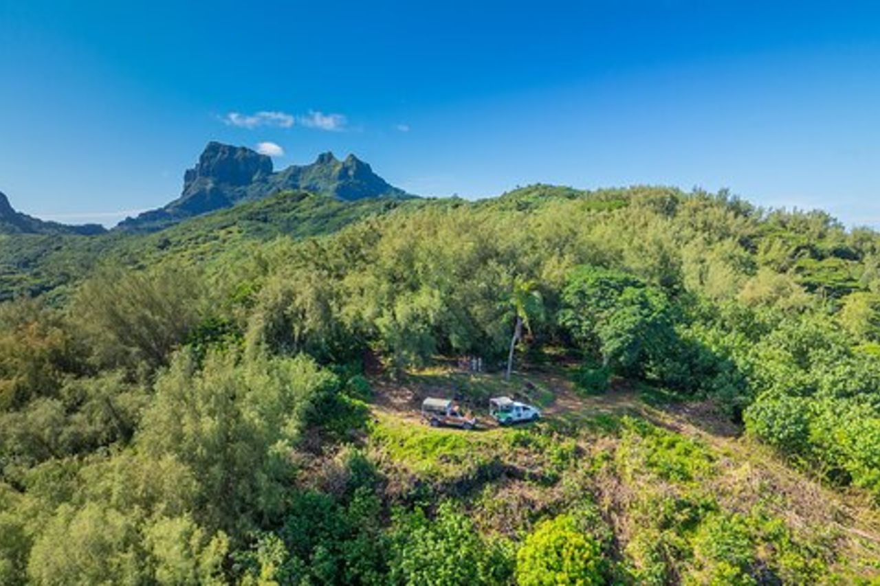 Tour safari dell'isola in 4X4 di mezza giornata a Bora Bora