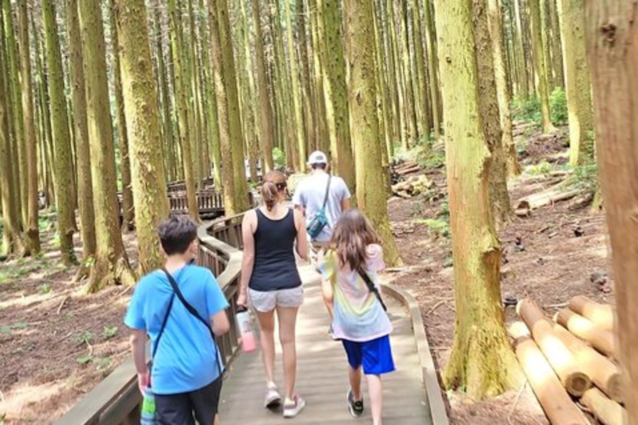 Tour di mezza giornata o di un giorno per i clienti della crociera che arrivano al porto della città di Jeju