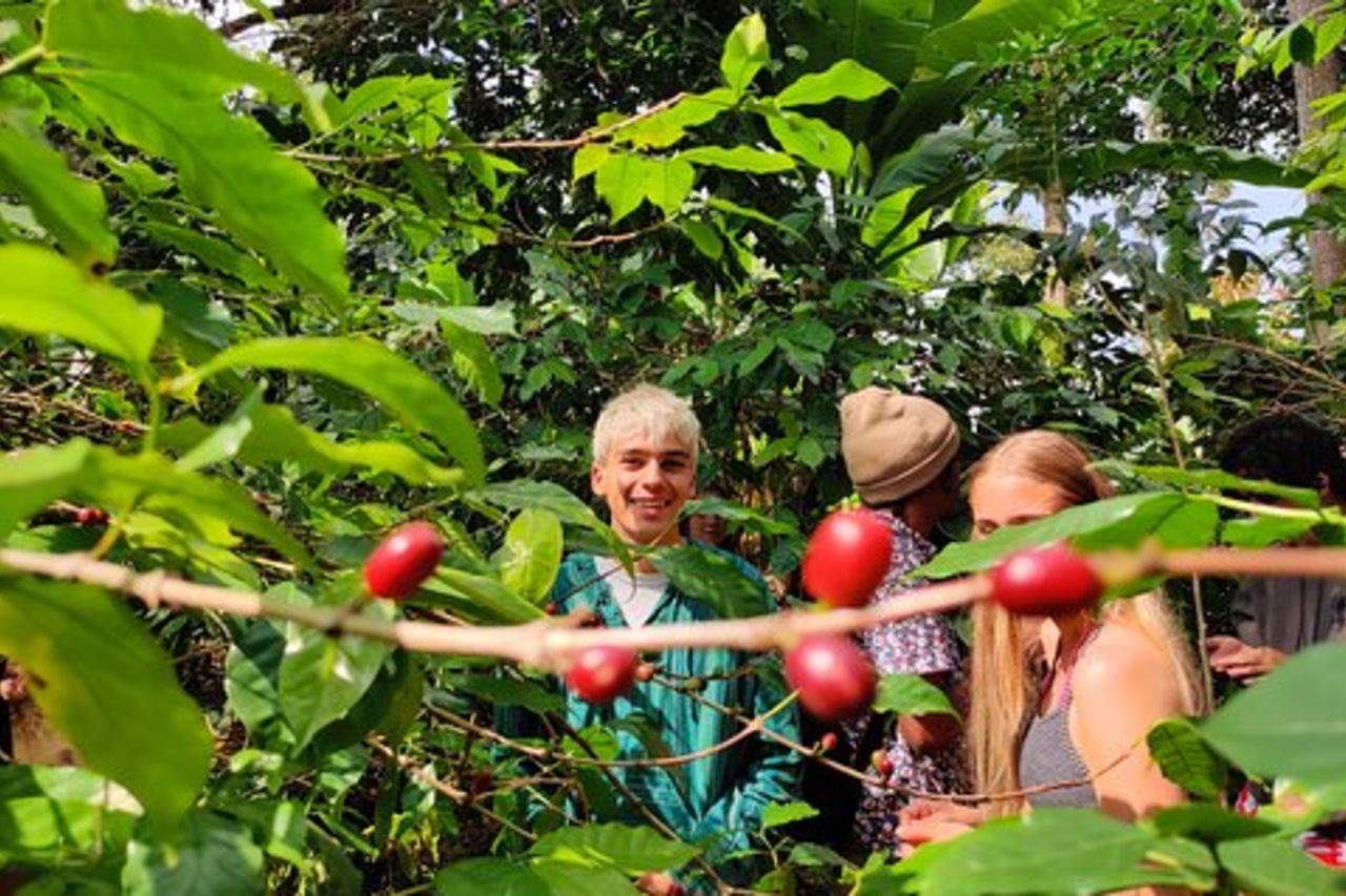 Cascata nascosta di Arusha, villaggio e tour del caffè (tutto incluso)