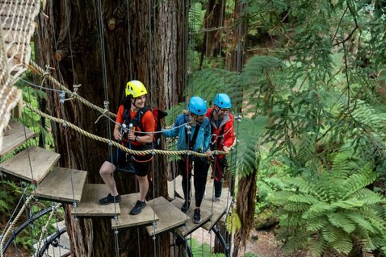 Rotorua: Sequoie Altitude High Ropes Adventure