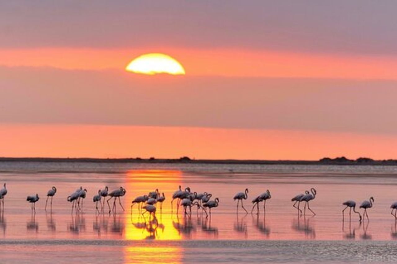 Tramonto tra i fenicotteri nel Delta dell'Ebro
