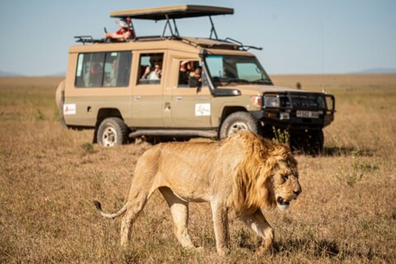 All-Inclusive Safari di lusso premium di 7 giorni in Tanzania