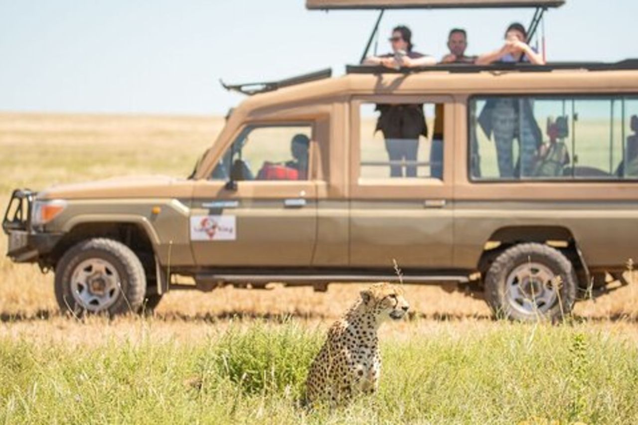 5 giorni Il meglio del circuito settentrionale di Safari di lusso in Tanzania