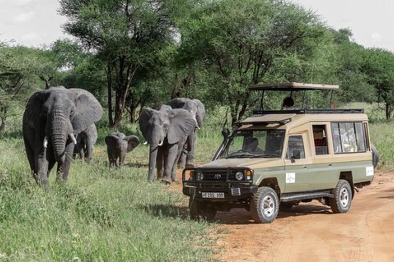 Tour di 5 giorni del cratere di mezzo, Serengeti, Tarangire