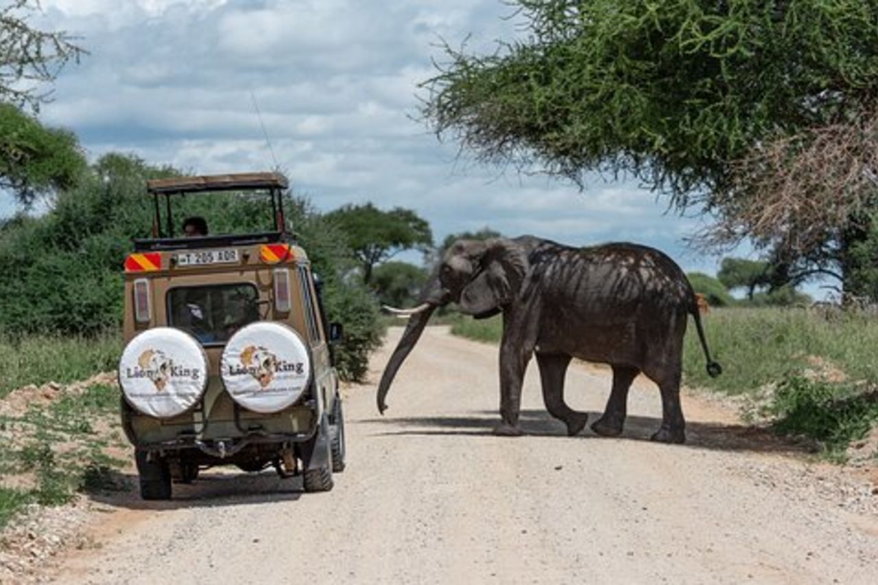 Cratere privato di 6 giorni del Tarangire Manyara e Serengeti con logge di medio raggio