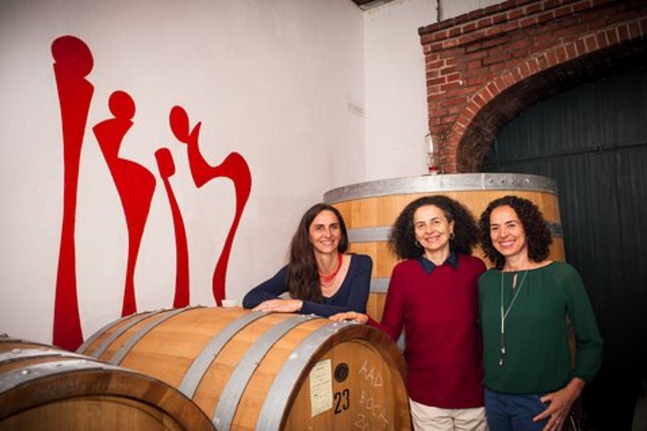 Visita e degustazione di vini del castello vicino al Lago Maggiore