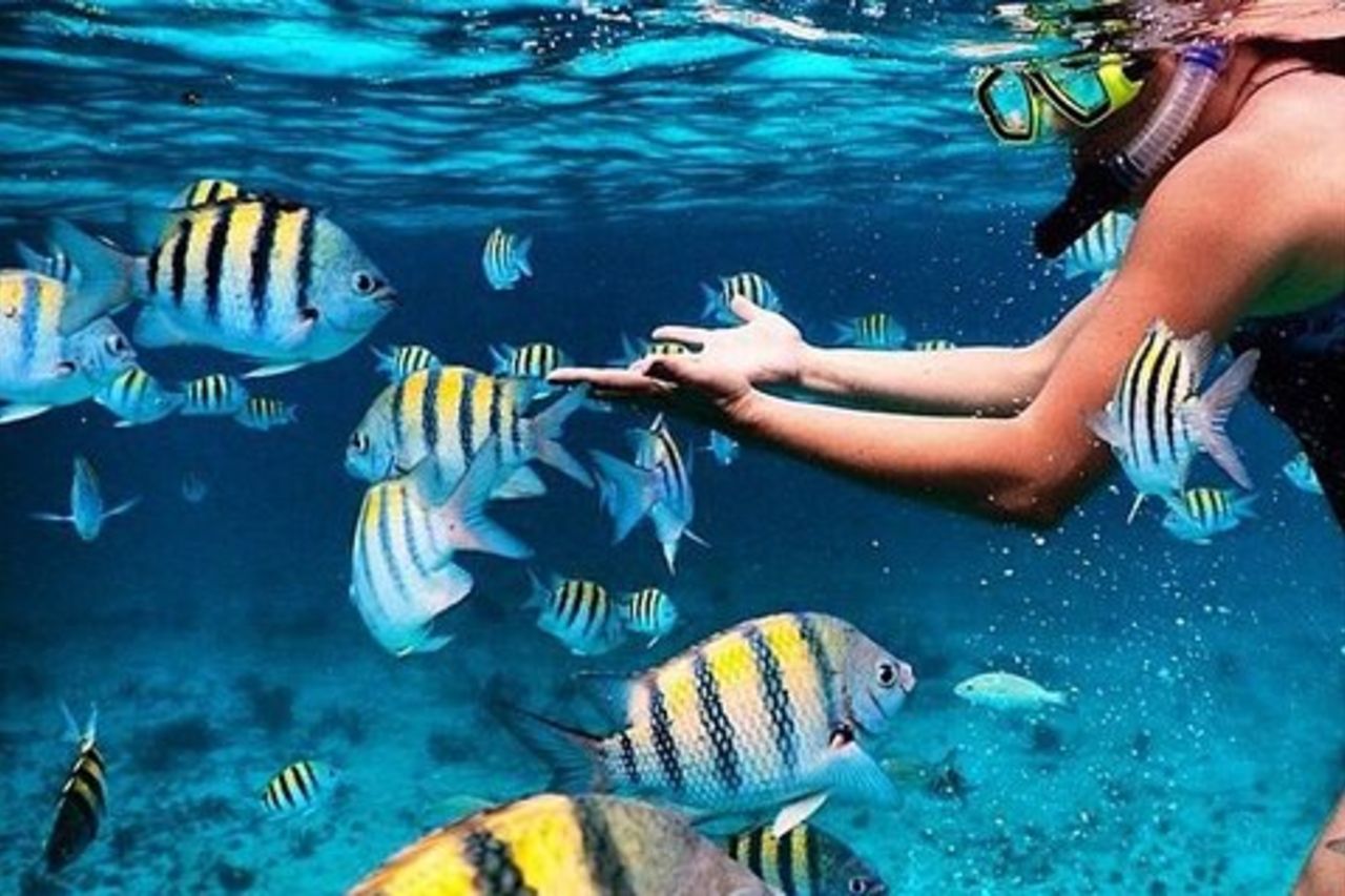 Grand Cayman 2 in 1 Avventura combinata: razze e snorkeling sulla barriera corallina