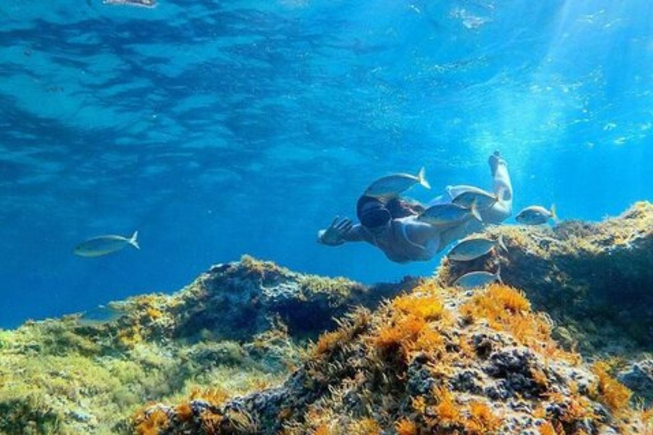 Mezza Giornata Cala Gonone Snorkeling nel Golfo di Orosei