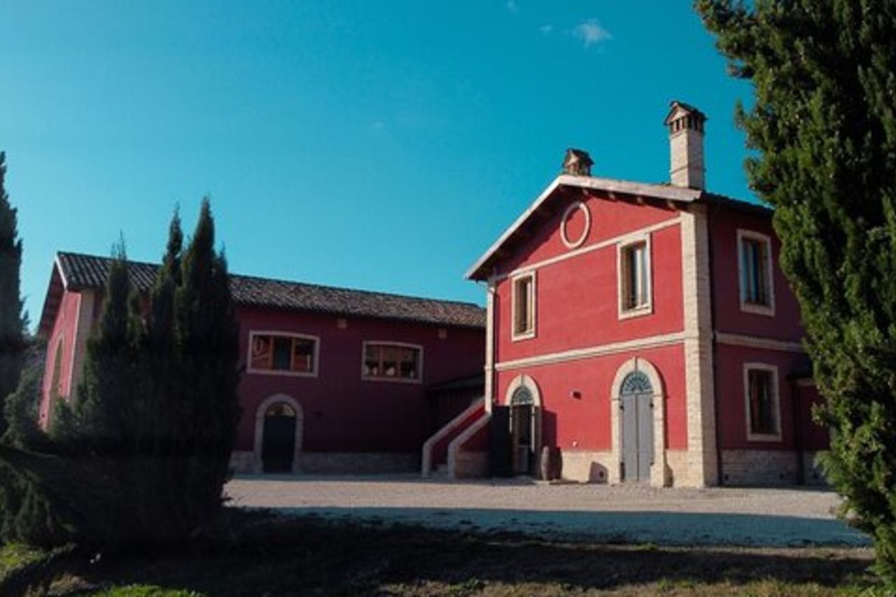 Visit and tasting at Erasmo Winery featuring signature wines