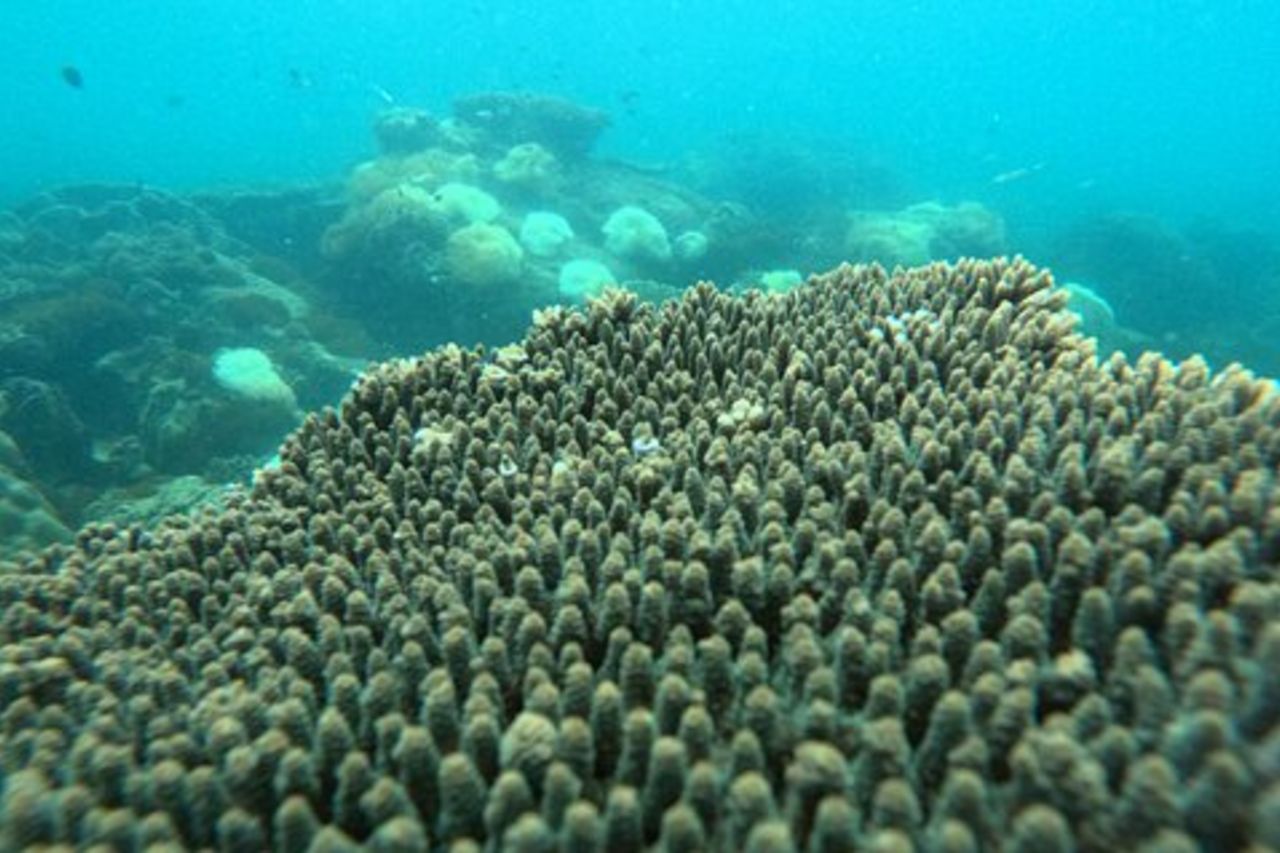 Snorkeling Island Hopping con Funivia e Pranzo