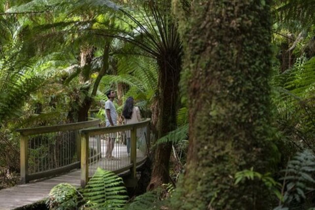 Great Ocean Road, 12 apostoli, foresta pluviale e tè mattutino-Melbourne