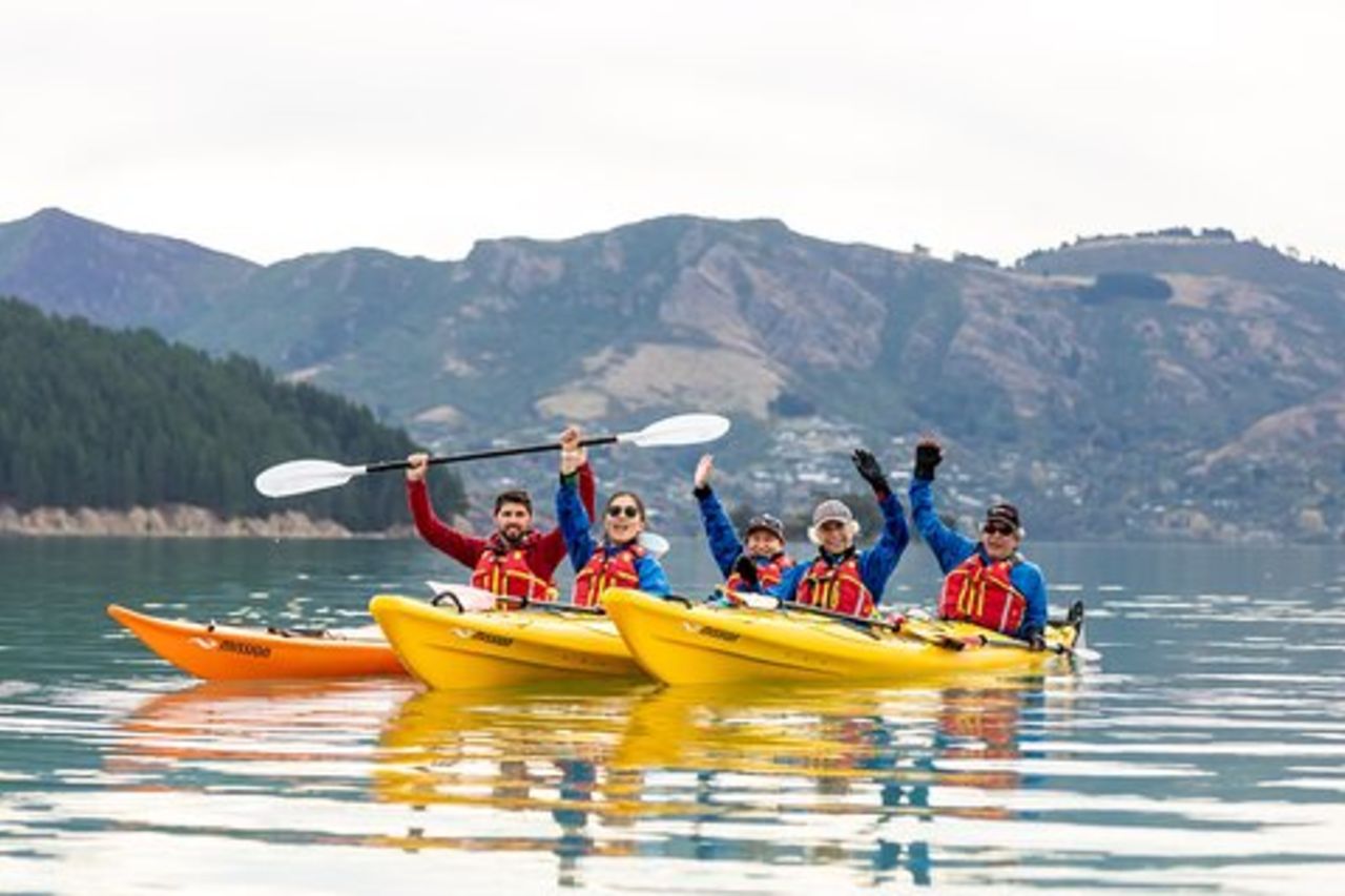 Sea Kayak Christchurch, Lyttelton Harbour e Quail Island