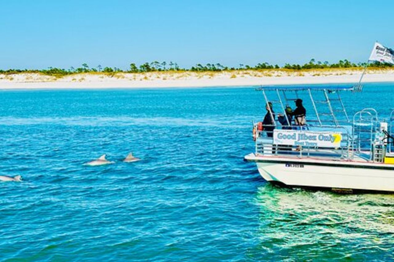 Tour in barca dei delfini di Shell Island a Panama City Beach