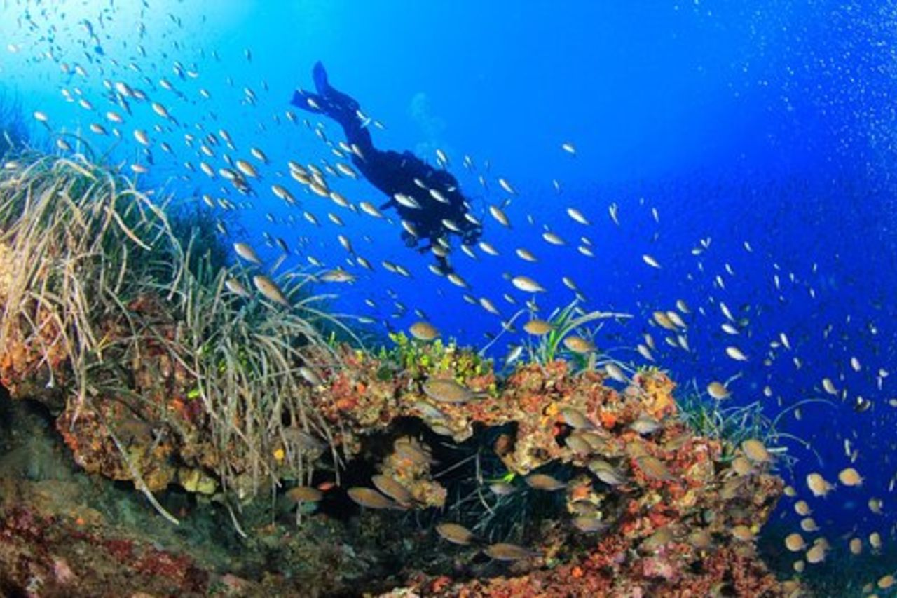 Battesimo di Bosa Diving